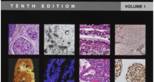 Screenshot 2025 12 14 101853