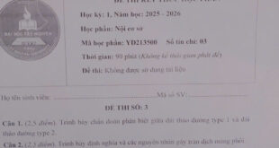 Đề Thi Nội Cơ Sở HKI 2025-2026 z7391879189912 4f0c8941403a87103980fc3dffcc1561